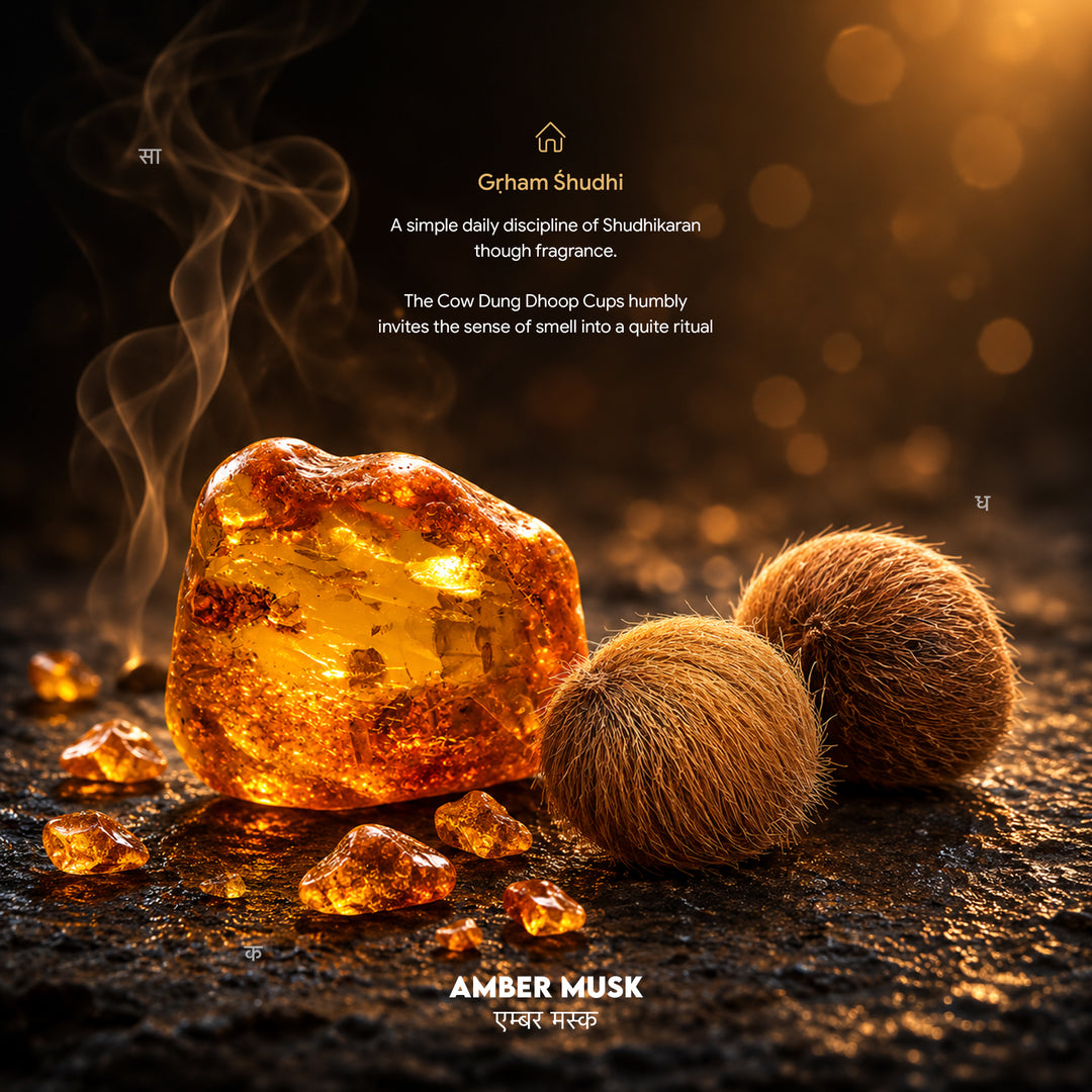 Amber Musk Cow Dung Dhoop Cups