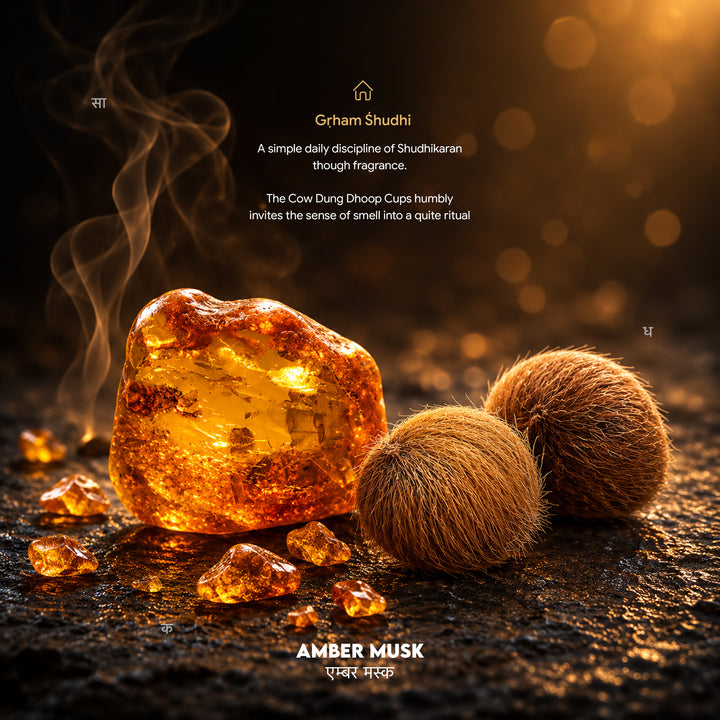 Amber Musk Cow Dung Dhoop Cups