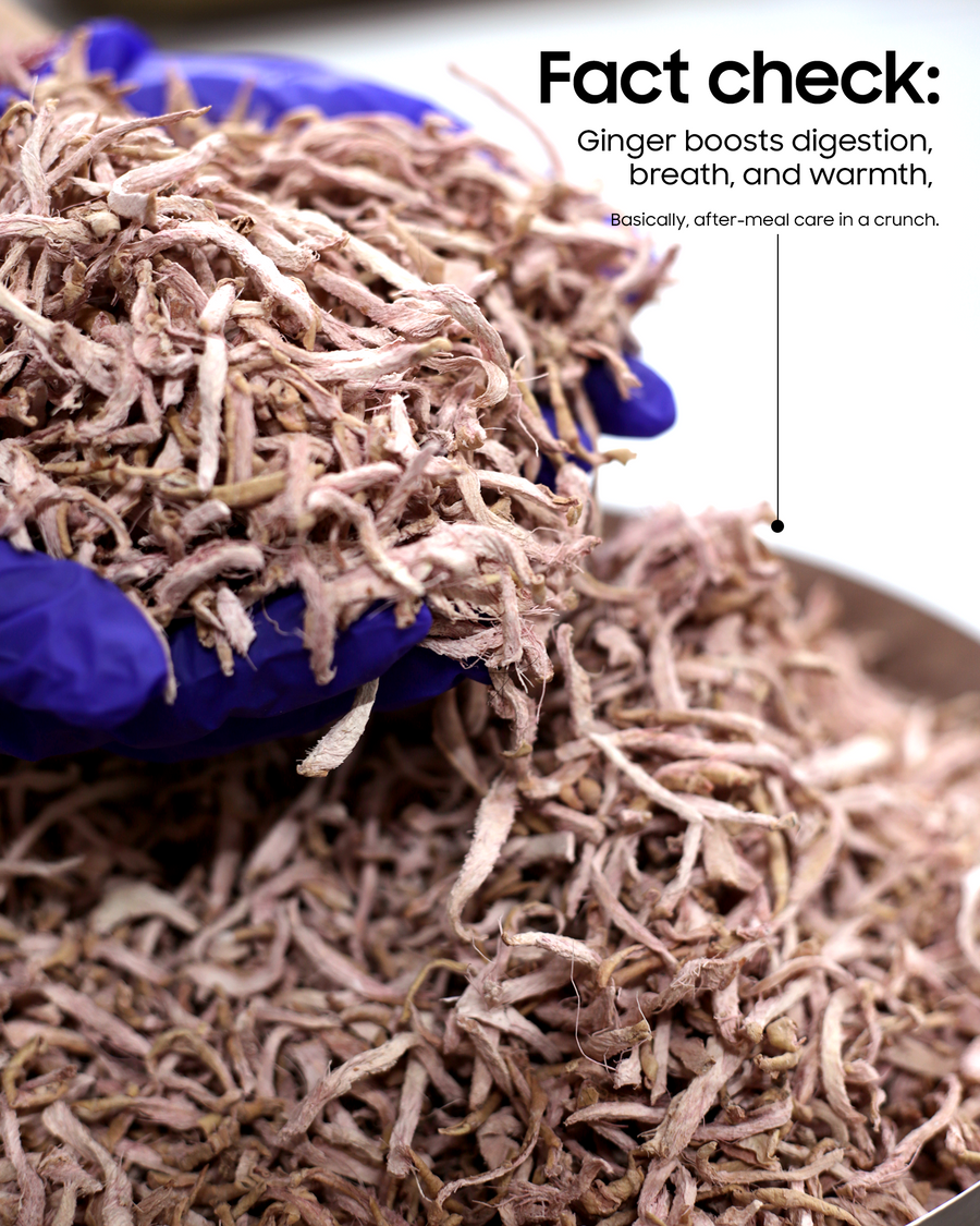 Chatpata Ginger Crisps Mukhwas