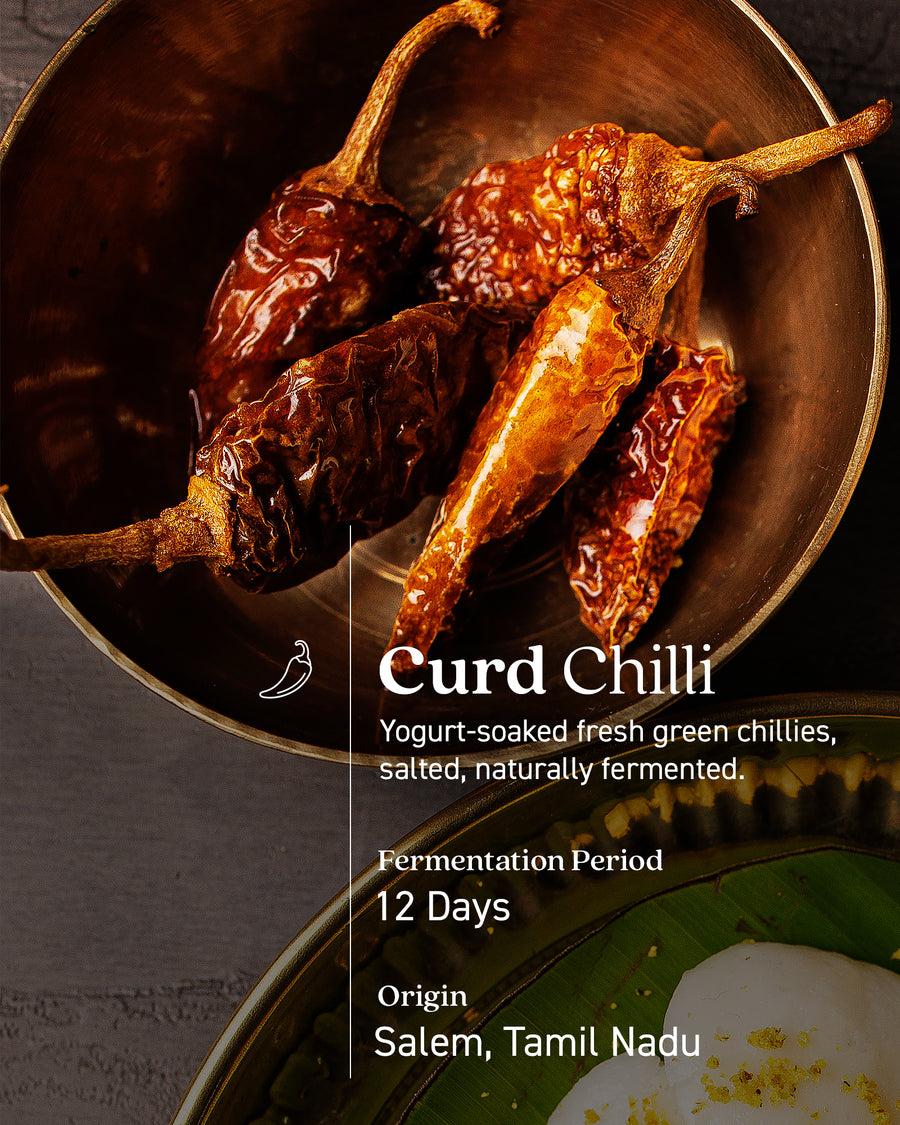 Curd Chili Podi