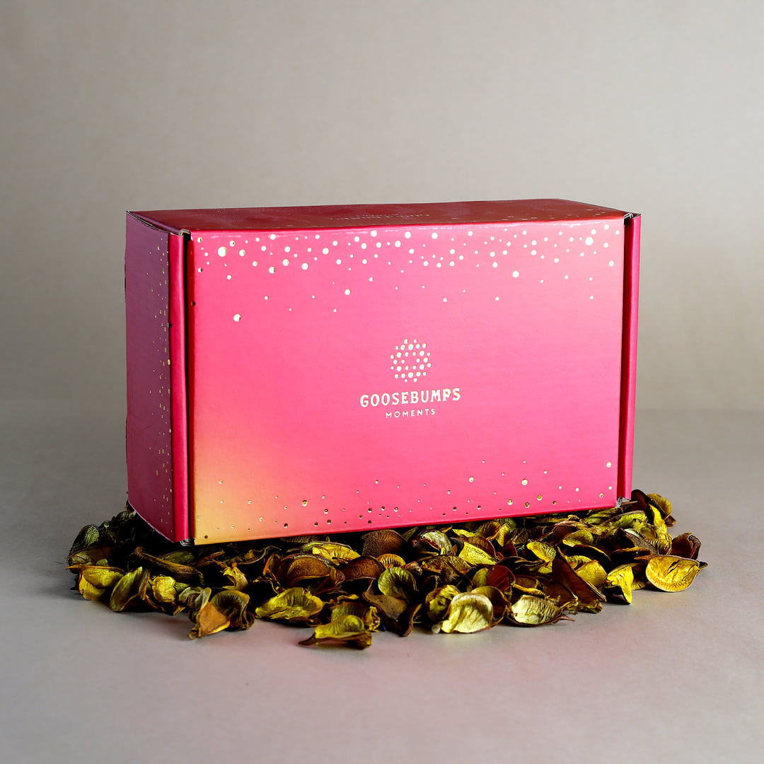 Eco Gift Box Of Nuts fruits and Choco Dragees-305GMs