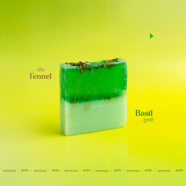 Fennel Basil (Dual) Soap