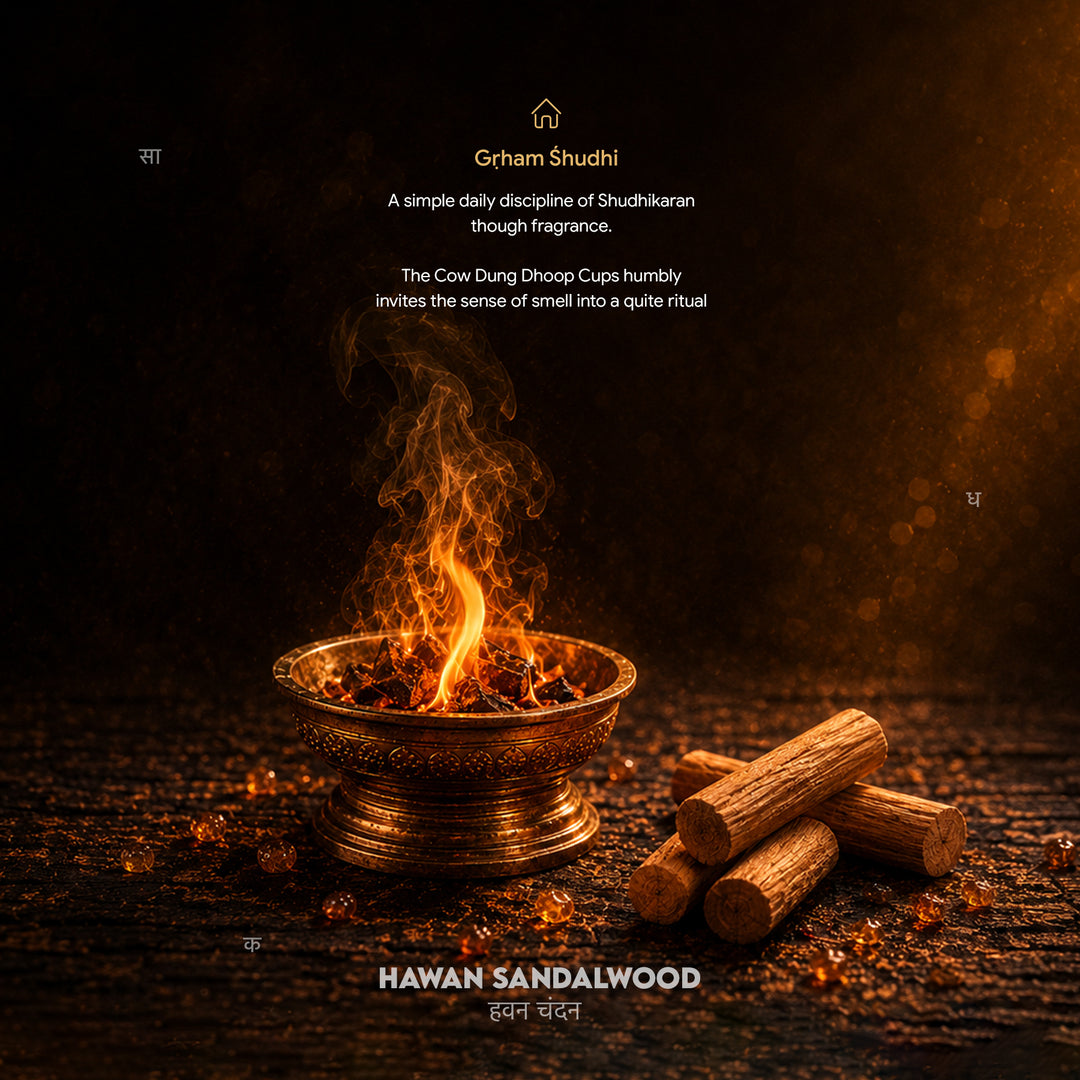 Hawan Cow Dung Dhoop Cups